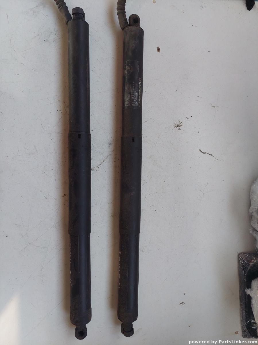 Amortizoare haion BMW X5 III (F15, F85) [ 2012 - 2018 ] OEM 4823279