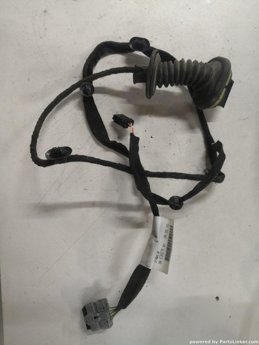 Instalatie electrica usa dreapta spate PEUGEOT 207 (WA_, WC_) [ 2006 - > ] OEM 9663687580