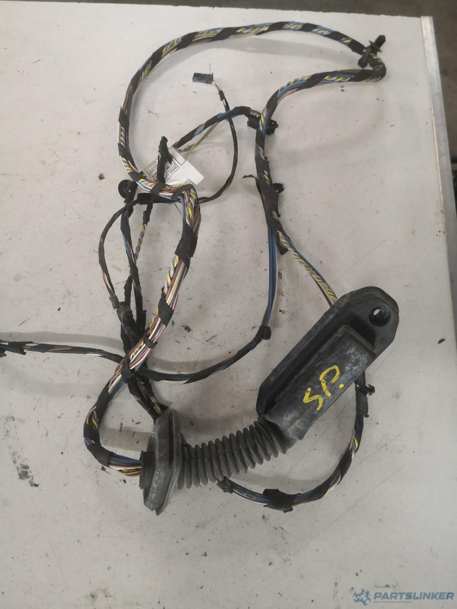 Instalatie electrica usa stanga spate BMW X3 (E83N) [ 2003 - 2011 ] xDrive 20 d (N47 D20 C) 120KW|163HP OEM 10055910