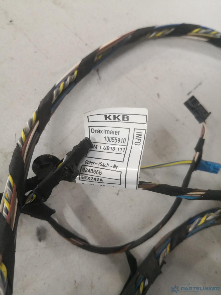 Instalatie electrica usa stanga spate BMW X3 (E83N) [ 2003 - 2011 ] xDrive 20 d (N47 D20 C) 120KW|163HP OEM 10055910 – foto 2