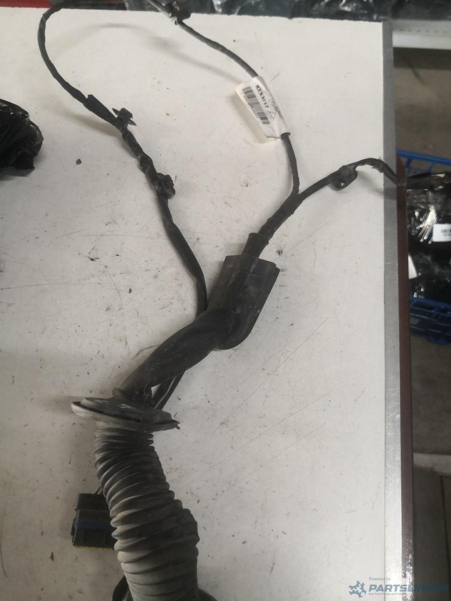 Instalatie electrica usa stanga fata RENAULT KANGOO Express (FW0/1_) [ 2008 - > ] OEM 8200809173