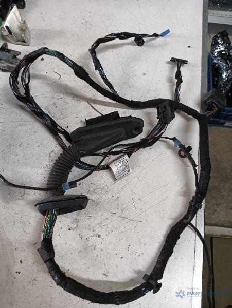 Instalatie electrica usa stanga fata BMW X1 I (E84) [ 2009 - 2015 ]