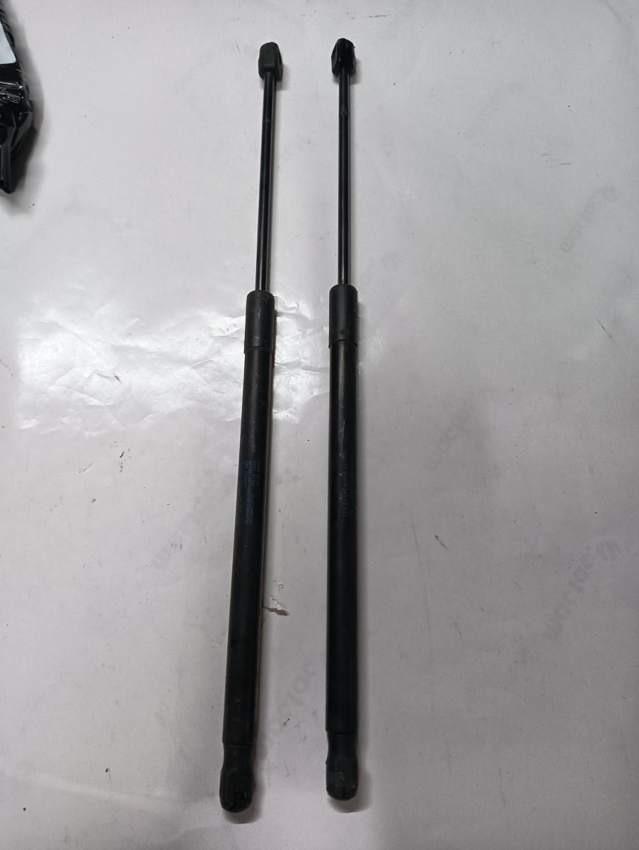 Set telescop portbagaj  SKODA RAPID II NH3 2012 - >
