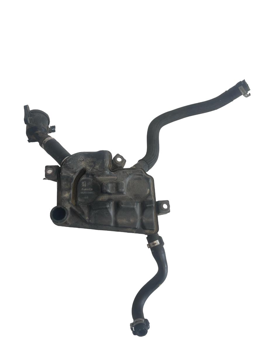 Filtru epurator LAND ROVER RANGE ROVER EVOQUE LV_, L538 2011 - > 2.2 D 224DT 9675994880