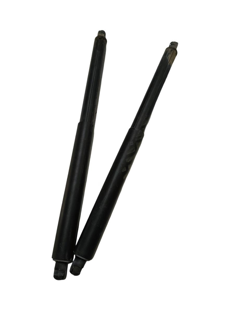 Telescoape portbagaj  BMW X5 II E70 2006 - 2013