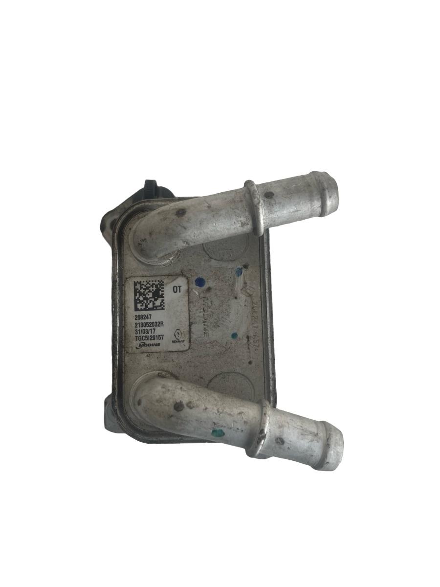 Termoflot DACIA SANDERO II 2012 - > 0.9 TCe 90 H4B 400 213052032R