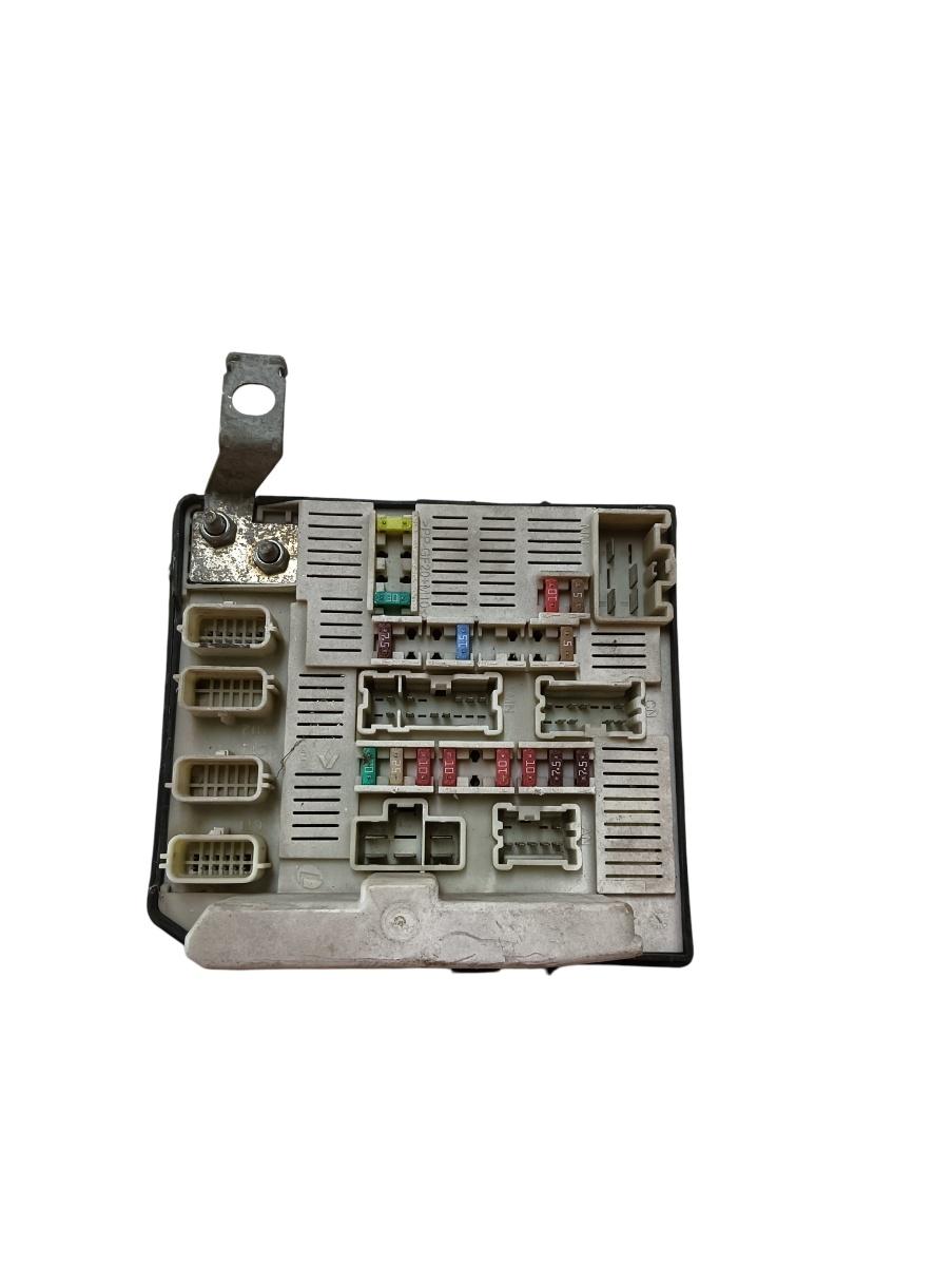 Panou sigurante RENAULT KANGOO Express FW0/1_ 2008 - > 519219208