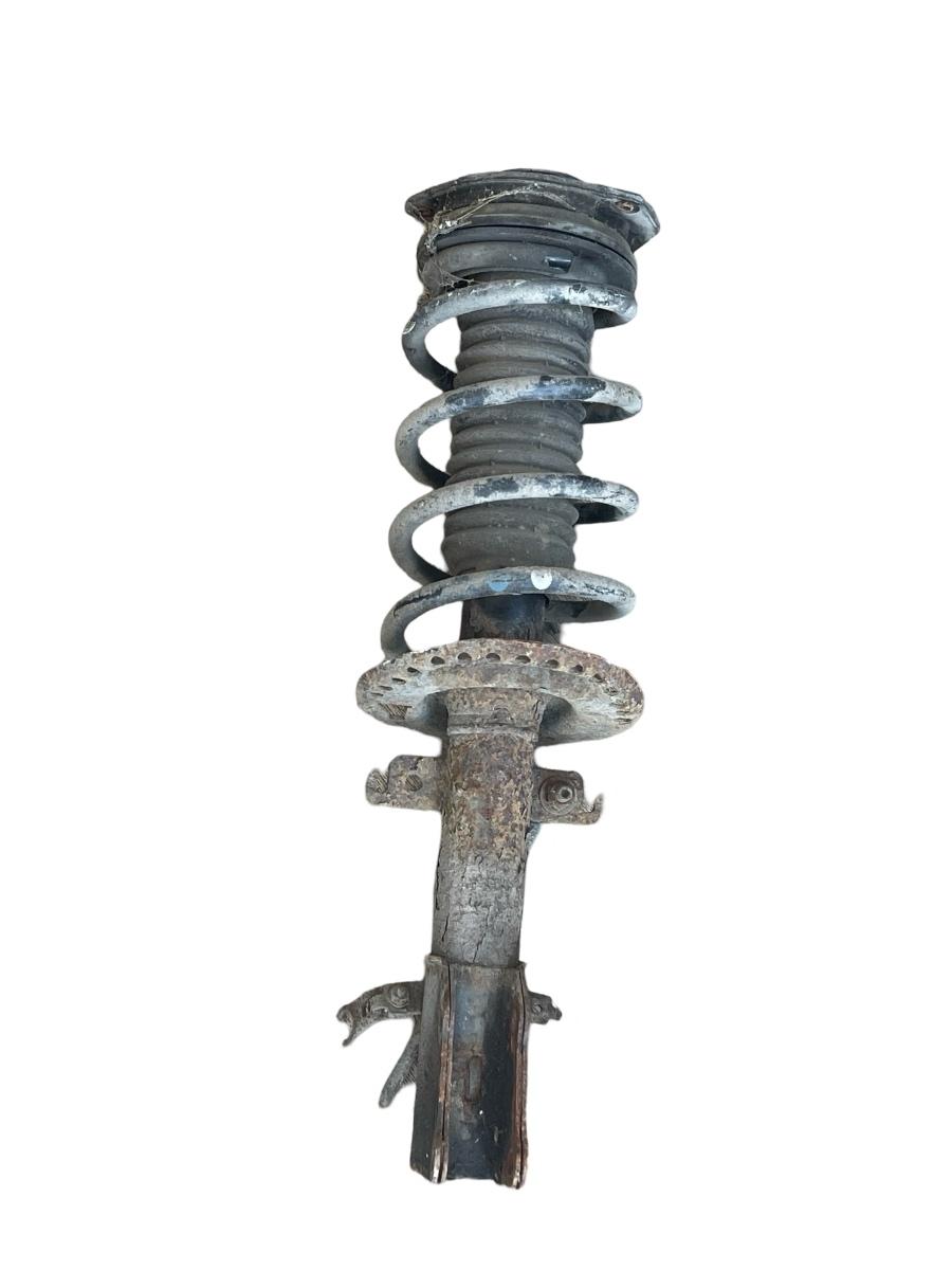 Amortizor stanga fata RENAULT KANGOO Express FW0/1_ 2008 - > 1.5dci