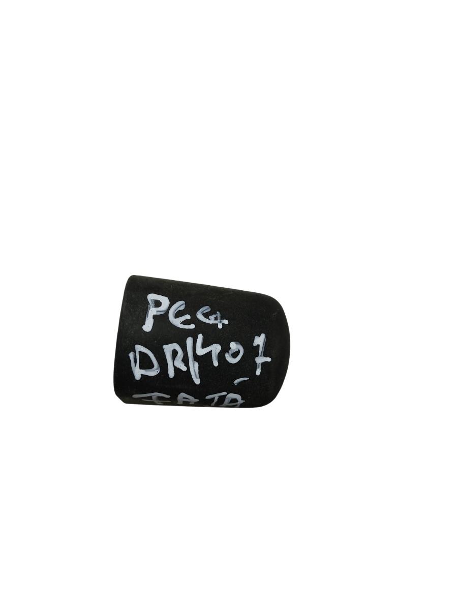 Capac maner usa dreapta fata PEUGEOT 407 6D_ 2004 - >