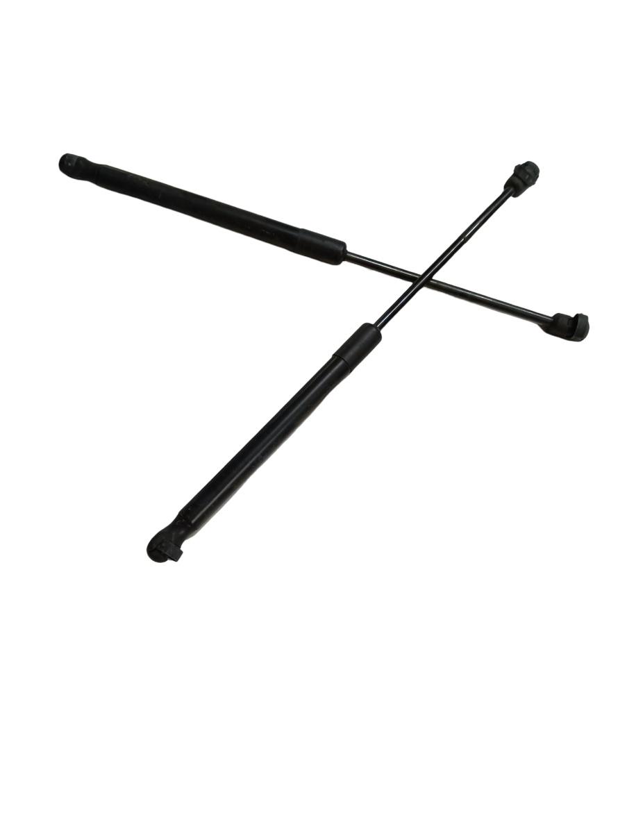 Set Amortizor haion BMW X5 II E70 2006 - 2013 – foto 2