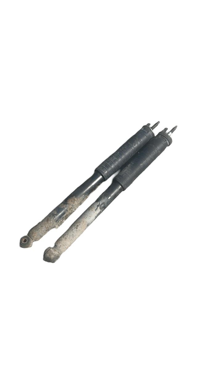 Set amortizoare spate MERCEDES-BENZ B-CLASS W245 2005 - 2011 E4-SR1-Z017A00 – foto 2