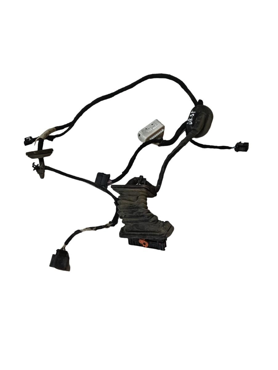 Instalatie electrica usa  dreapta spate VOLKSWAGEN PASSAT 3C2 2005 - 2010