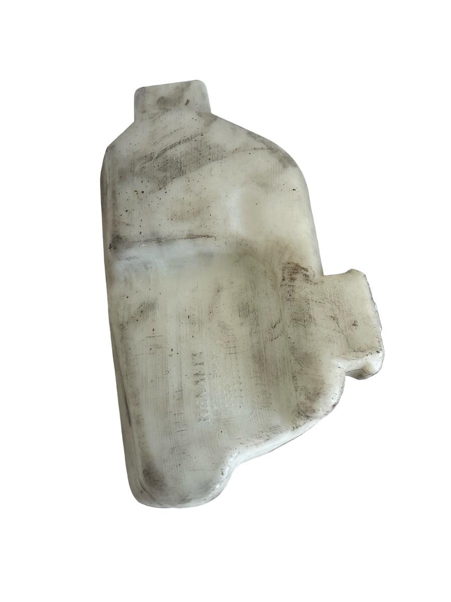Vas lichid de parbriz stropgel RENAULT KANGOO Express FW0/1_ 2008 - > – foto 3