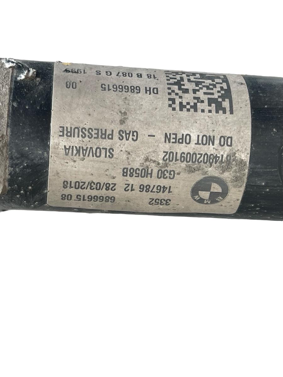 Amortizor stanga spate BMW 5 G30, F90 2016 - > 2.0 B47 D20 B 6866615 – foto 3