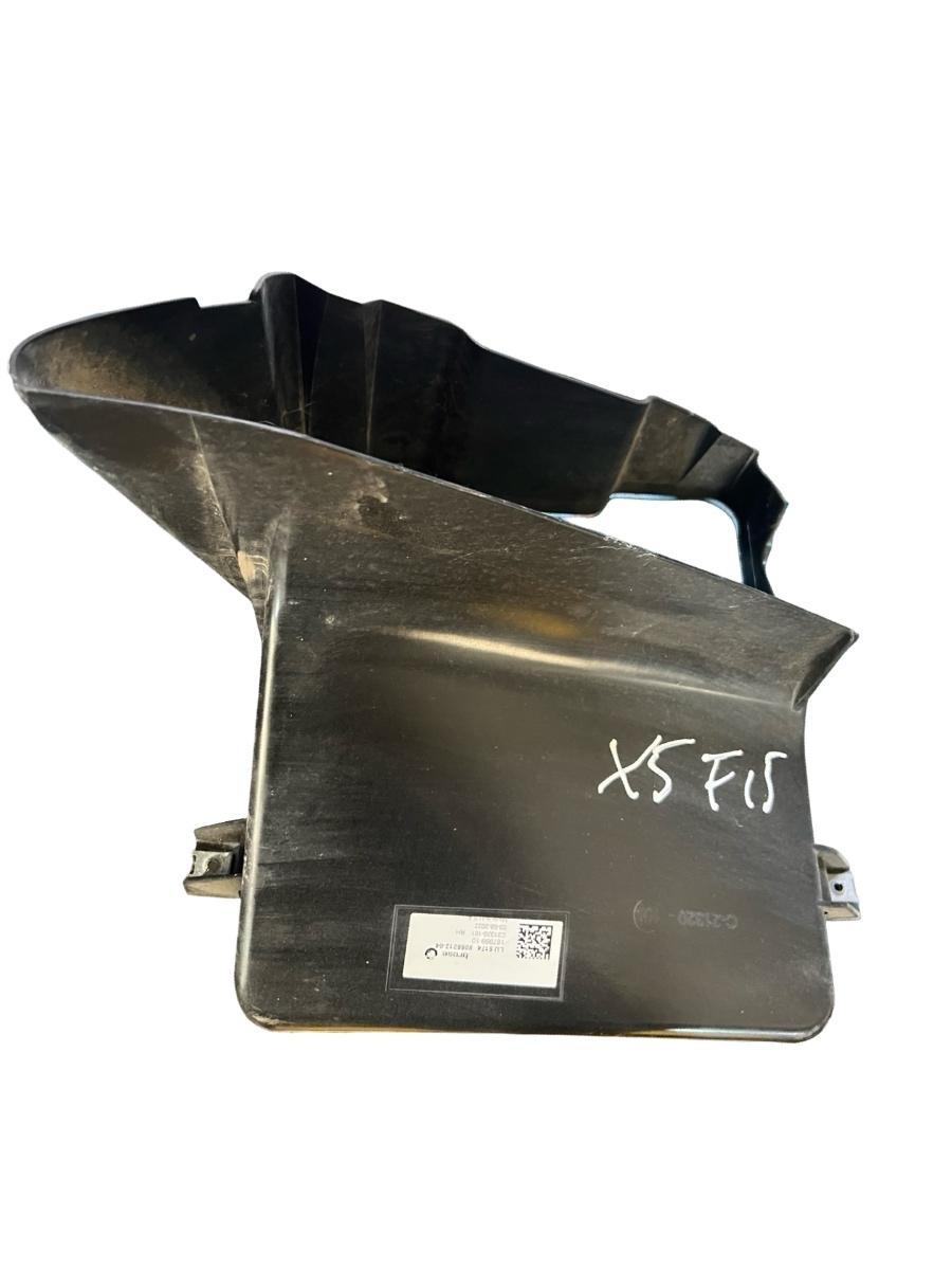 Ornamente radiator BMW X5 III F15, F85 2012 - 2018 8055212-04 – foto 2