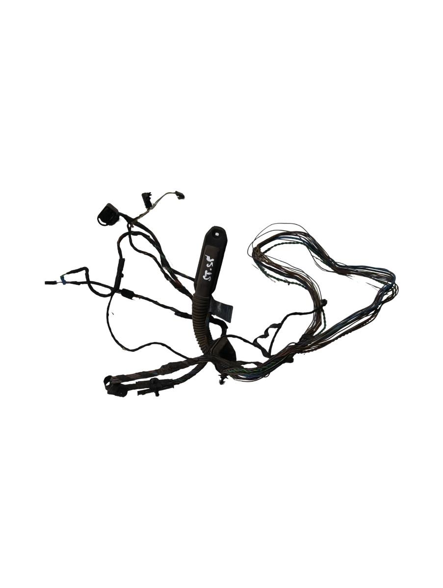 Instalatie electrica usa  stanga spate BMW X5 II E70 2006 - 2013 – foto 2