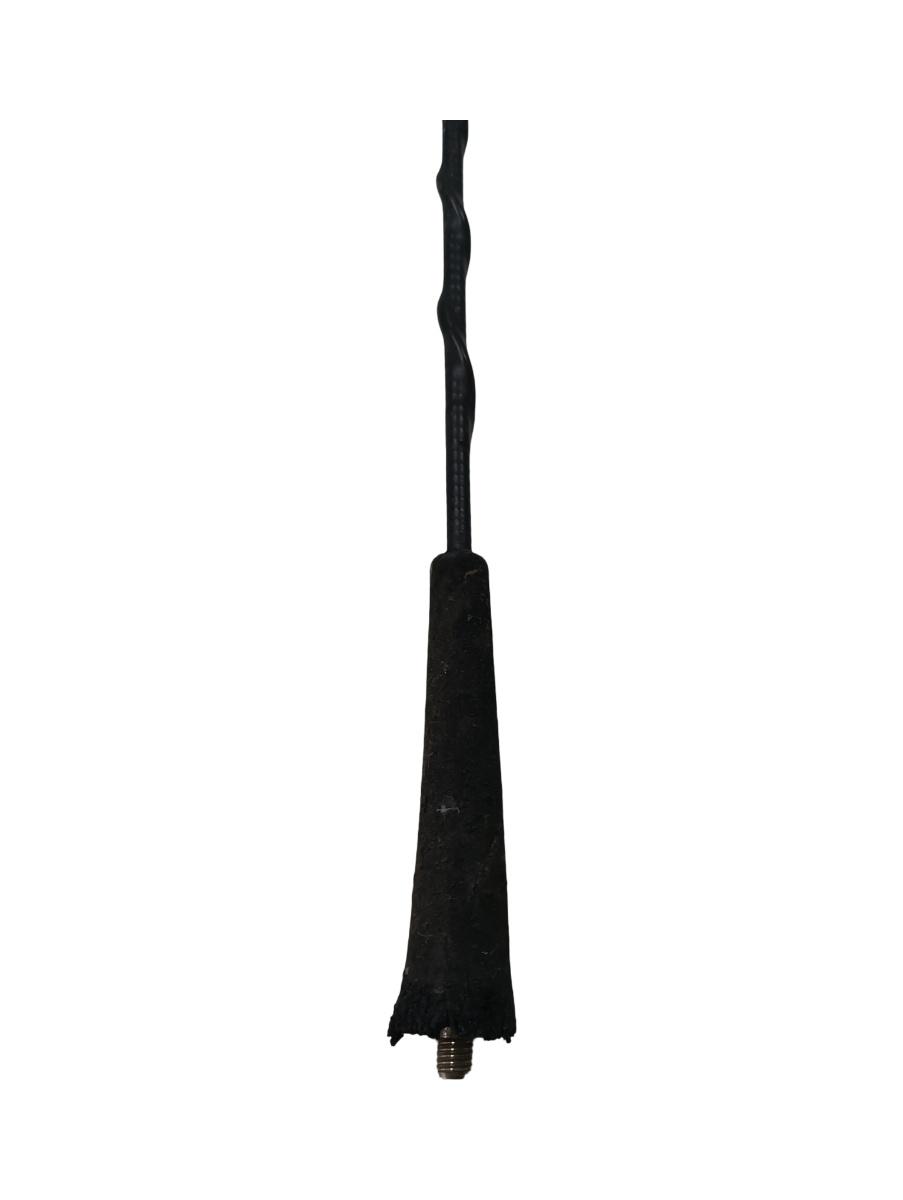 Antena radio RENAULT MEGANE II BM0/1_, CM0/1_ 2001 - 2012