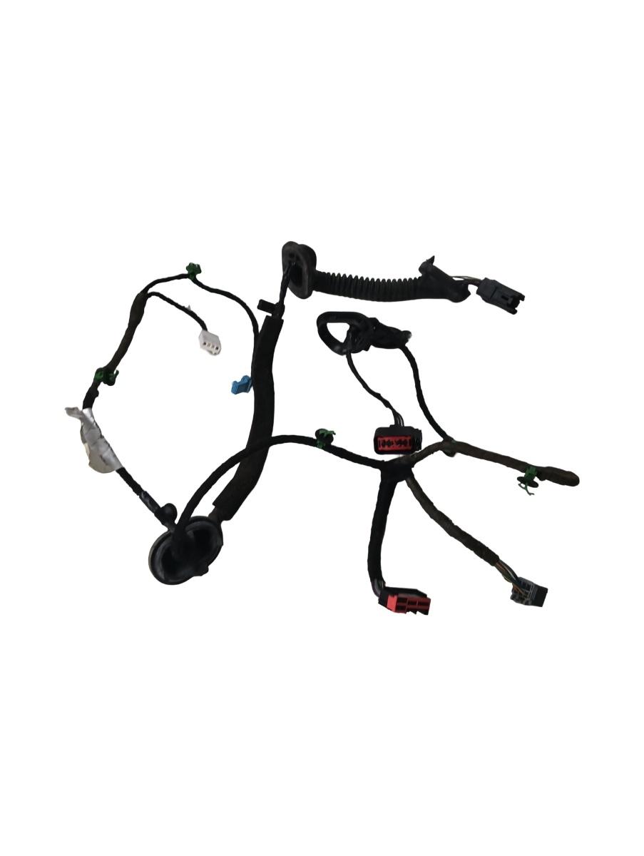 Instalatie electrica usa  stanga spate LAND ROVER FREELANDER 2 LF_, L359 2006 - 2014