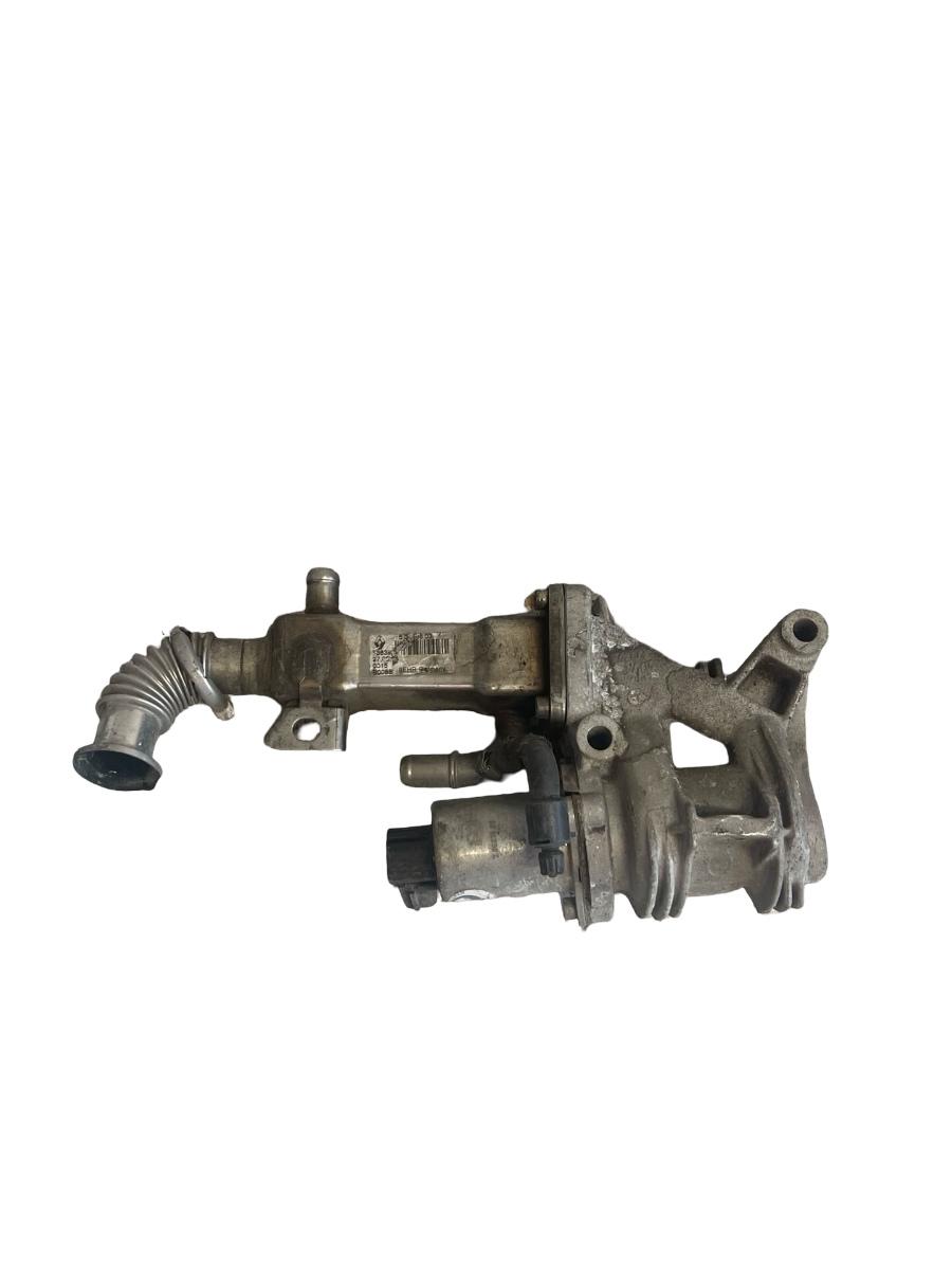 Racitor gaze + EGR RENAULT SCENIC II JM0/1_ 2003 - > 1.9DCI 20007506