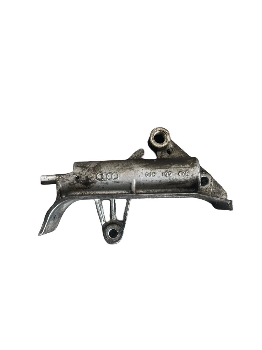 Amortizor vibratii SEAT TOLEDO II 1M2 1998 - 2006 06B109479