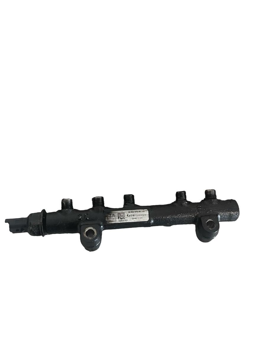 Rampa Injectoare FORD C-MAX II DXA/CB7, DXA/CEU 2010 - > 1.6 TDCi T1DA, T1DB 9685297580