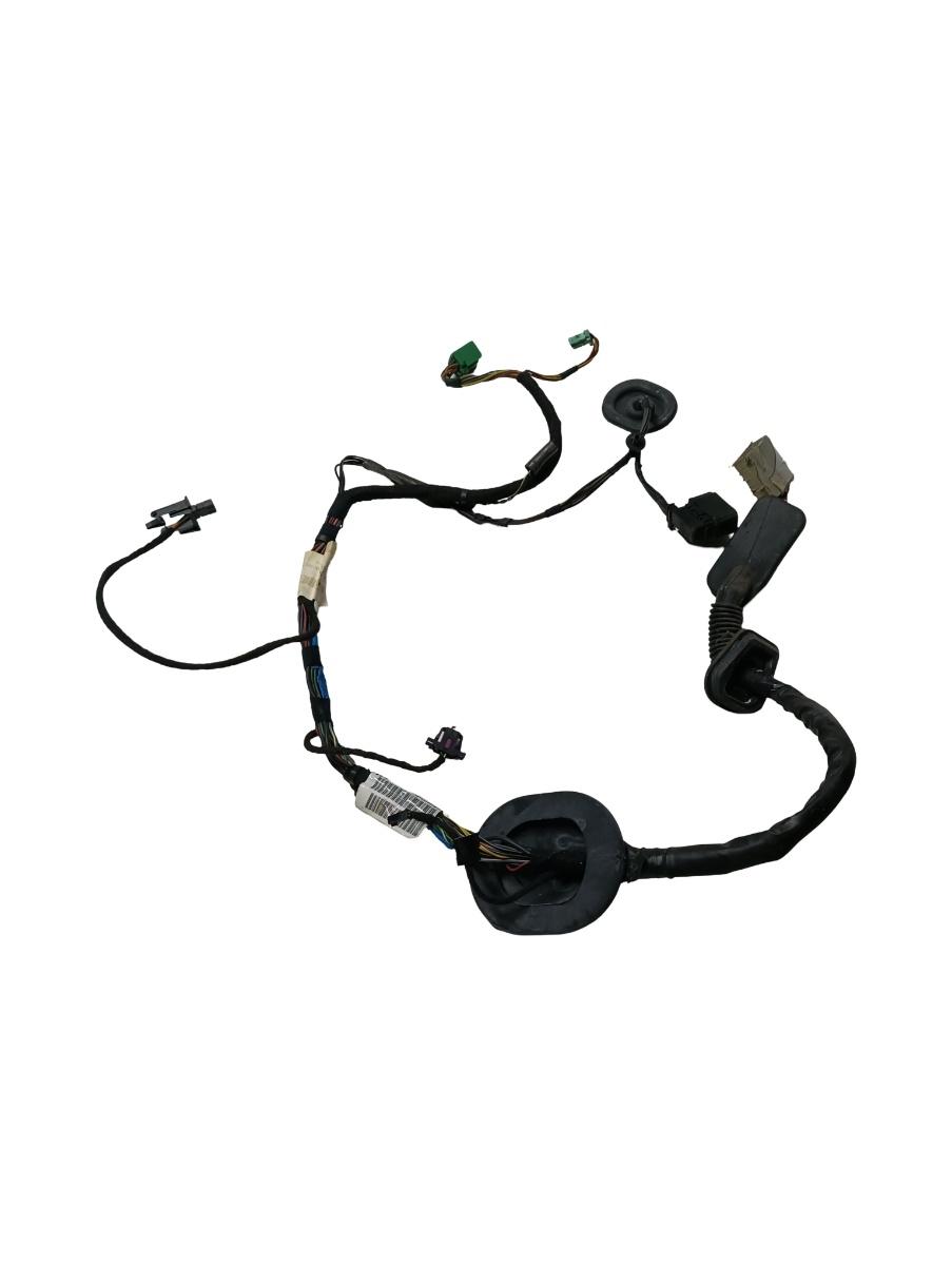 Instalatie electrica usa  stanga spate LAND ROVER RANGE ROVER SPORT LS_, L320 2005 - 2013