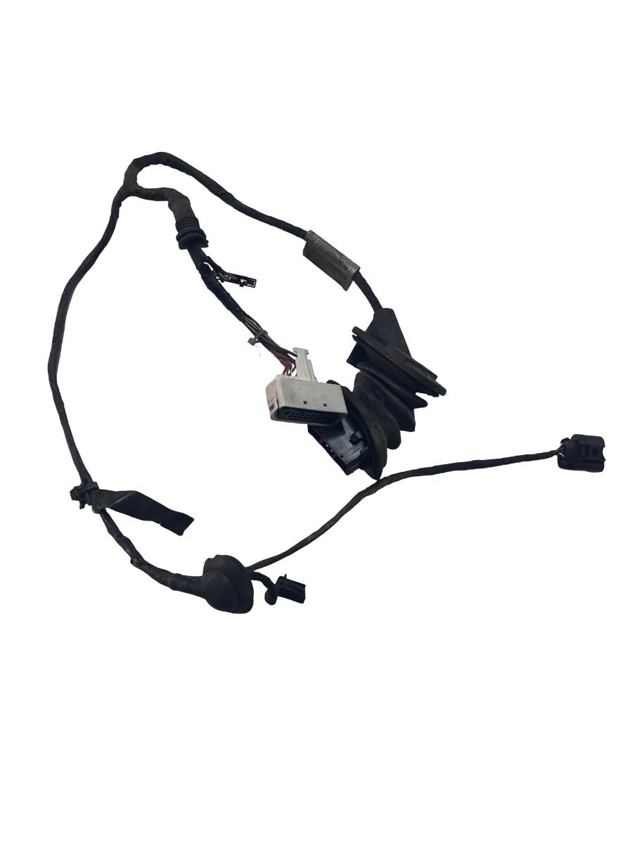 Instalatie electrica portiera stanga spate SEAT ALTEA 5P1 2004 -> 5P1971161H