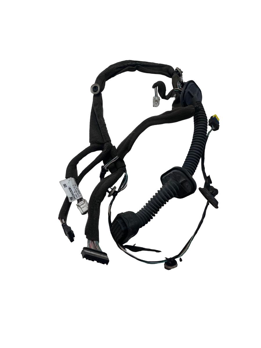 Instalatie electrica portiera stanga fata RENAULT FLUENCE L30_ 2010 -> 241241003R