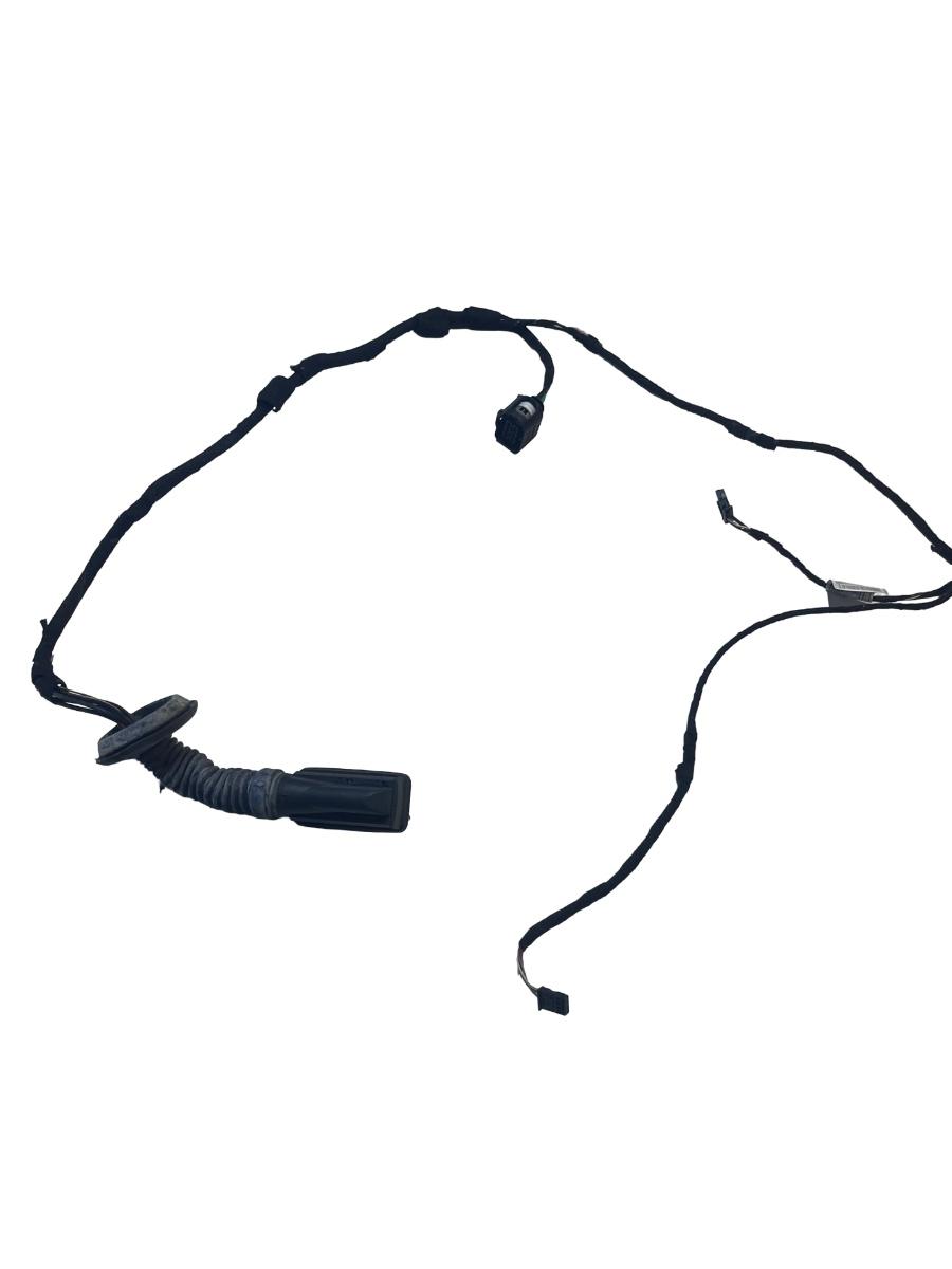 Instalatie electrica portiera dreapta spate BMW 1 II F20 2010 -> 9286169