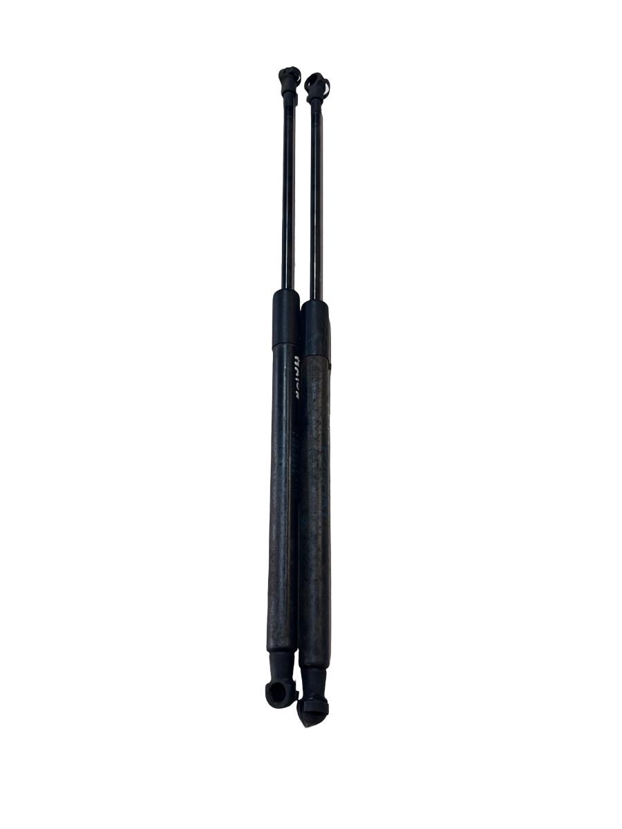 Telescoape haion BMW 1 II F20 2010 -> 51247239871